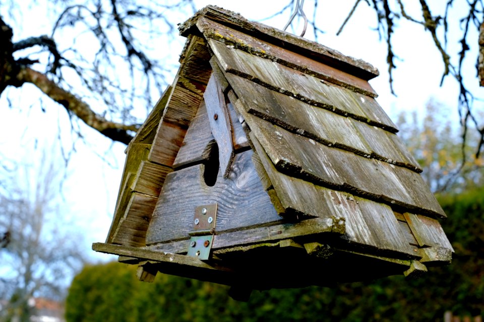 Low Angle View Of Birdhouse Against Sky