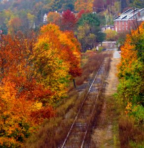 Autumn Train Tracks photo