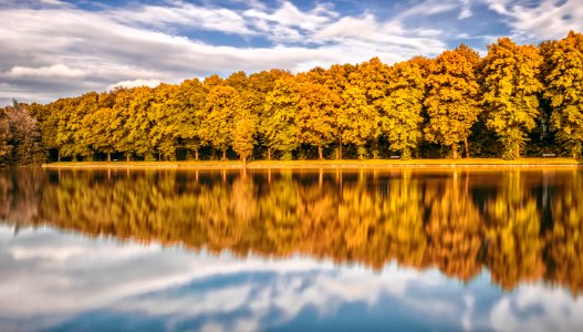 Trees Reflecting From Lake photo