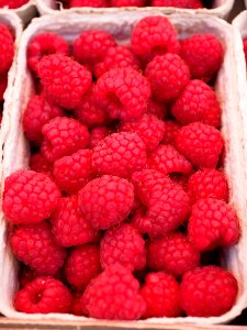 Red Raspberry On White Container