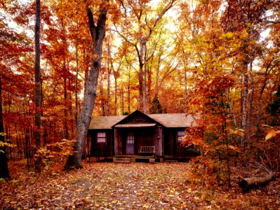 Cabin In Autumn Forest photo