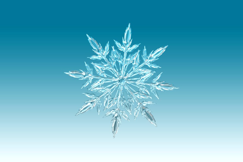 Snowflake Symmetry Line Organism