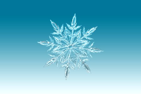 Snowflake Symmetry Line Organism