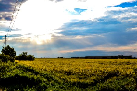 Fields And Sky