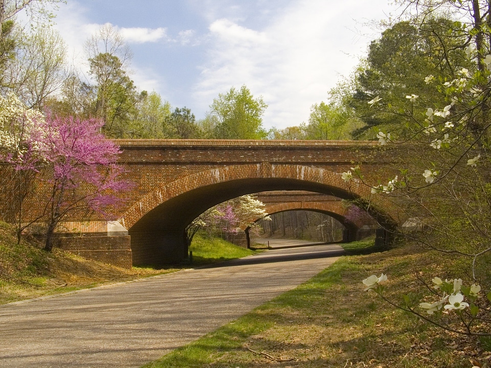 Highway bridge architecture