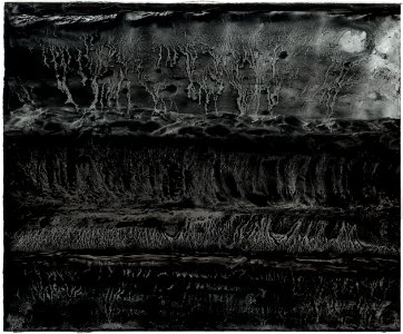 Traces 35