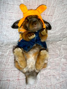 Ill Call The Bun Police
