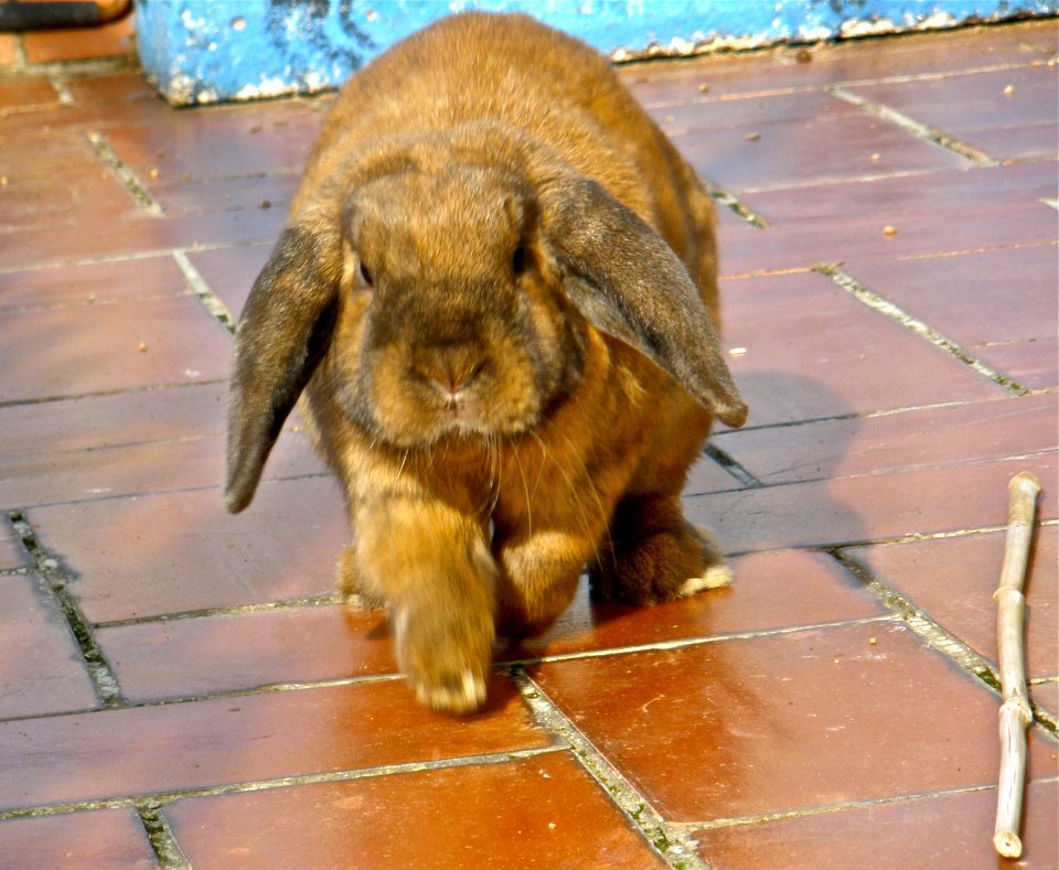 Do I See Noms Here I Come