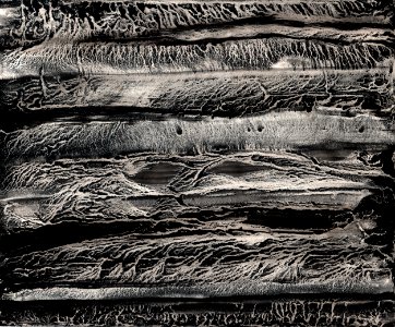 Traces 4