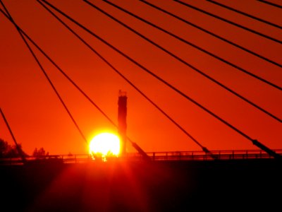 Sun Sets In Wires photo