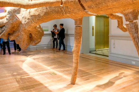 Wood Interior Design Art Flooring