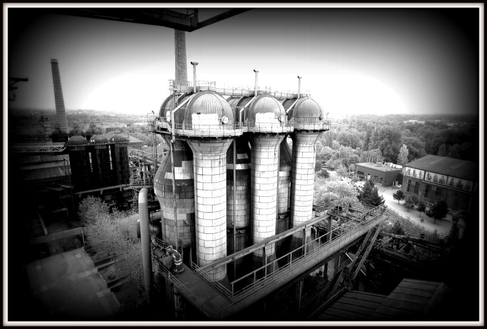 Industrial Mushroom