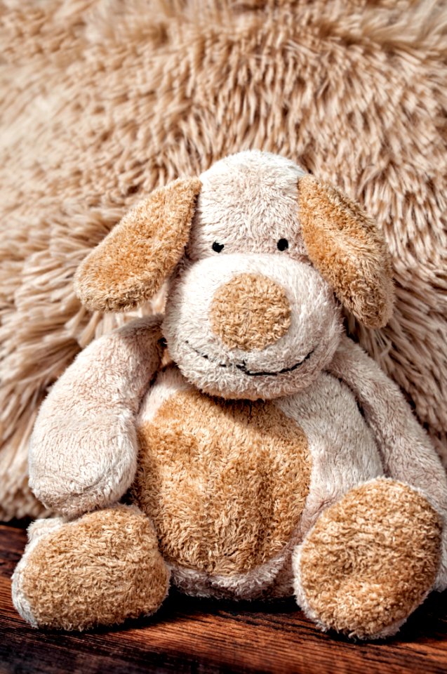 Stuffed Toy Plush Snout Teddy Bear