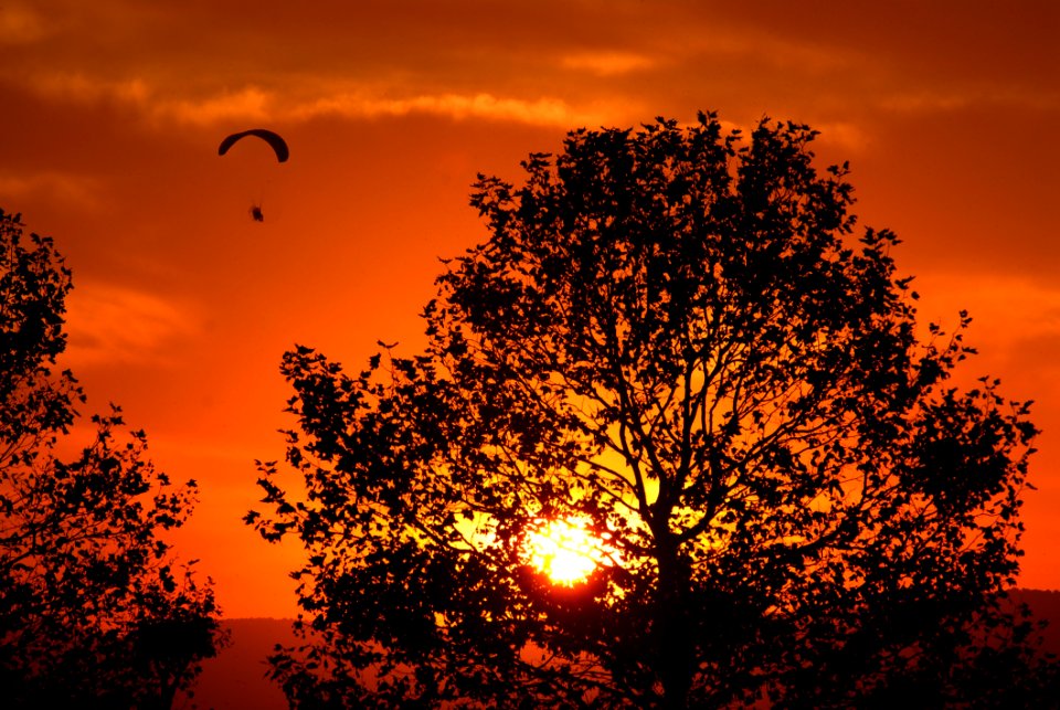Flight In The Sunset
