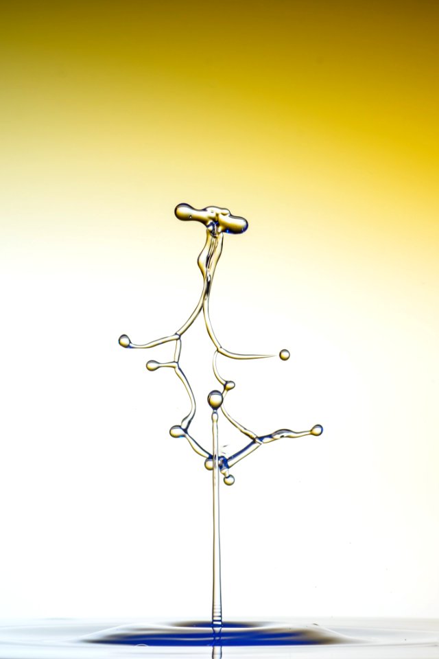 Line Product Design Still Life Photography Twig