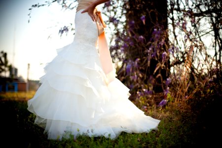Bride White Wedding Dress Outdoors Green Grass Wisteria Vines