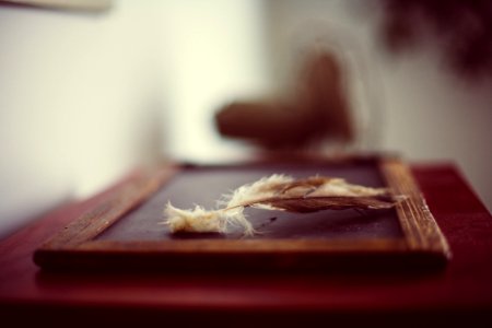 Old Chalkboard Eagle Feather photo