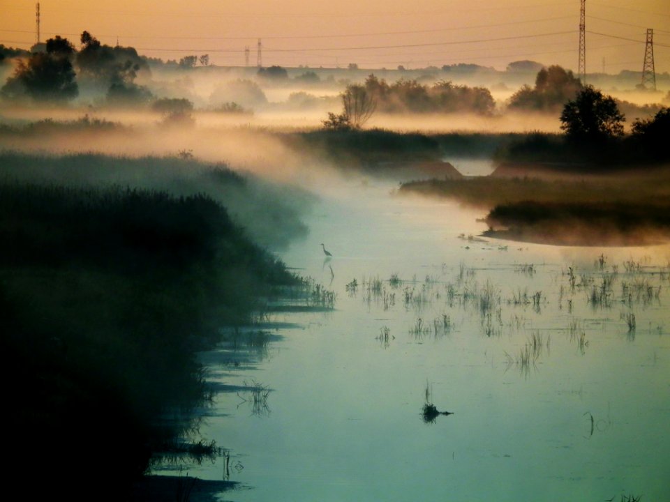 Mist Over River At Sunrise