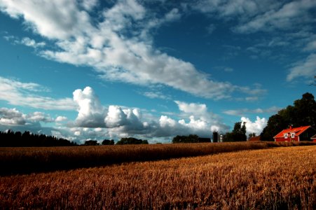 Farm In Field In Countryside photo