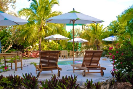 Sun Loungers And Swimming Pool