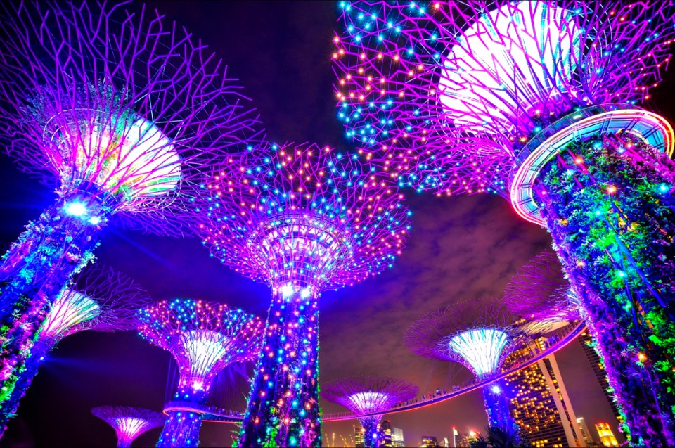 Gardens By Bay In Singapore