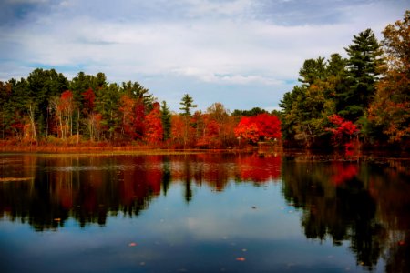 Autumn Lake