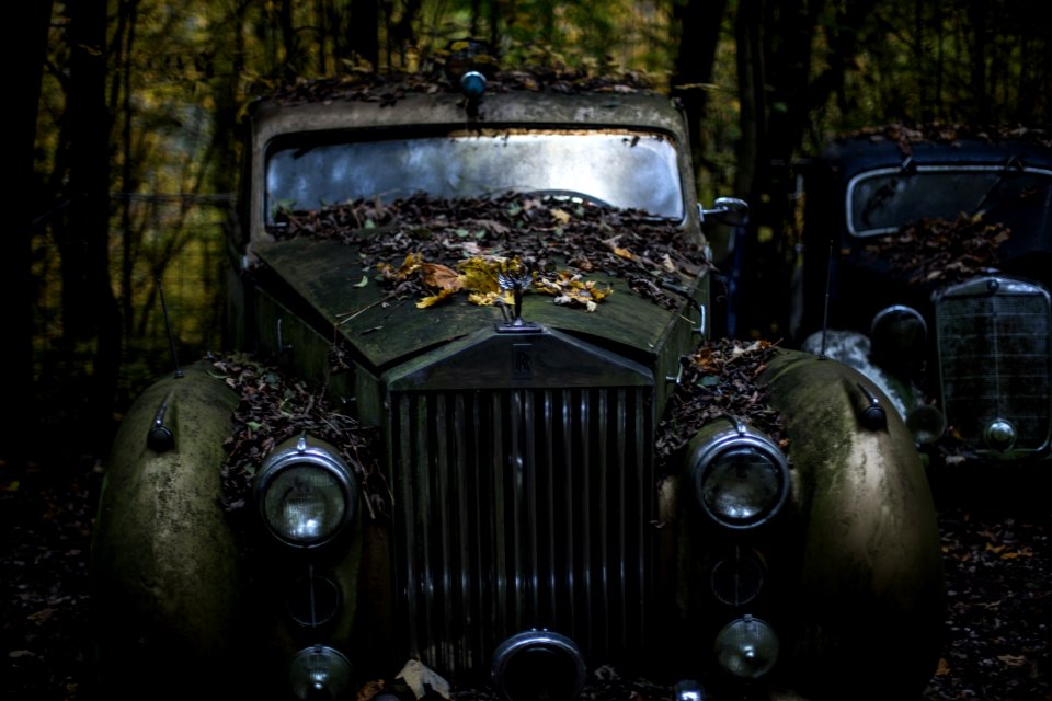 Green Classic Car In The Forest