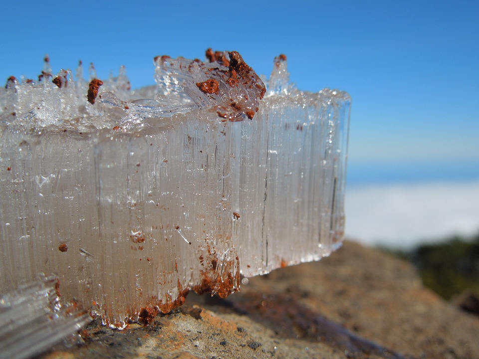 Nature transparent close up