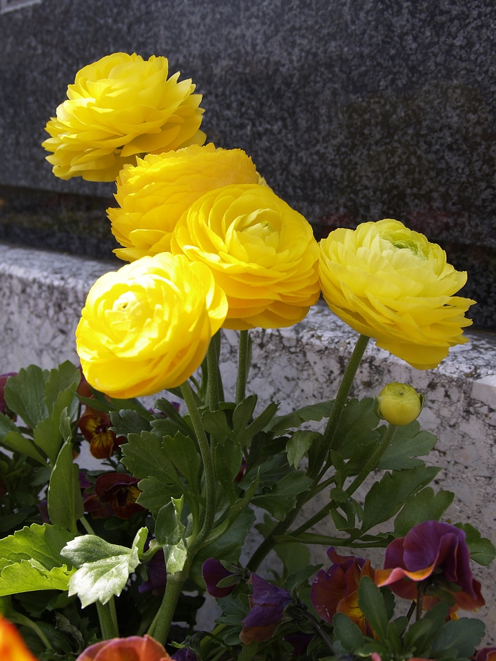 Cemetery grave religion