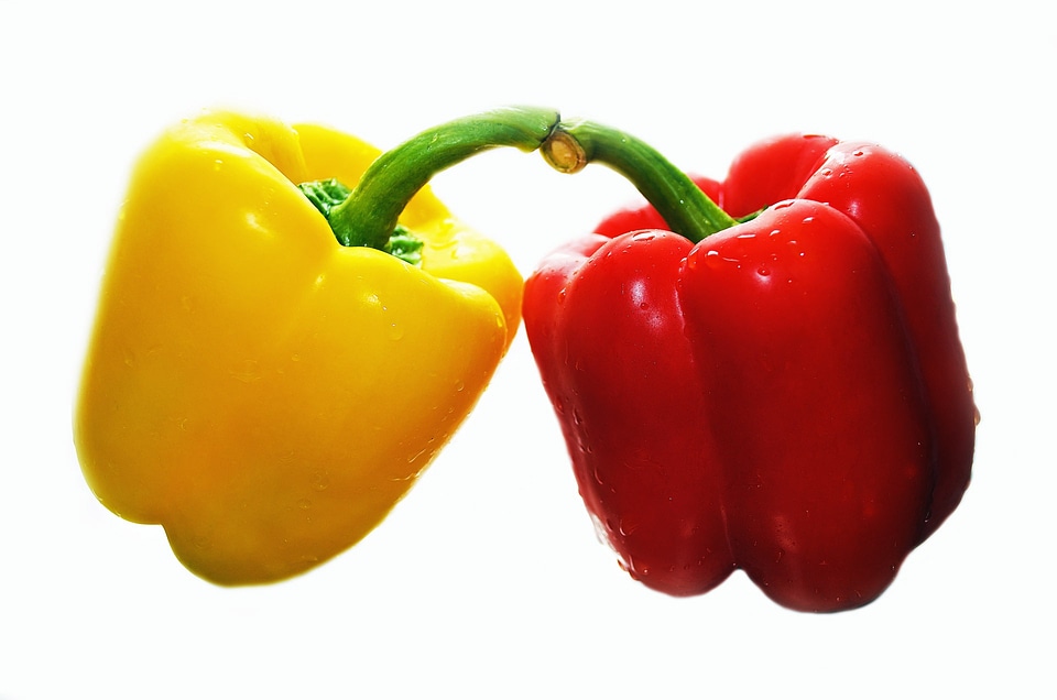 Cook cooking diet