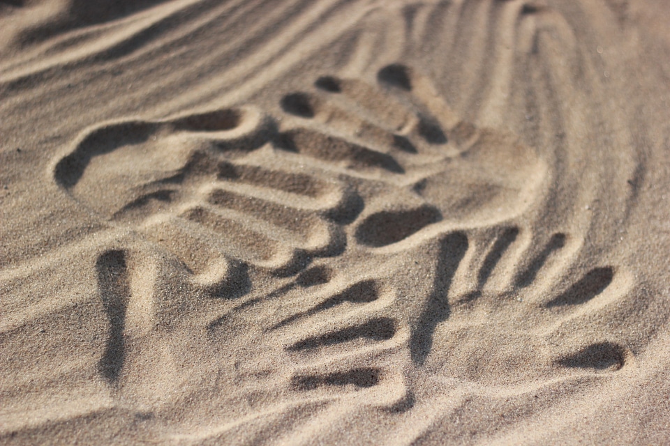Sand love brown sand