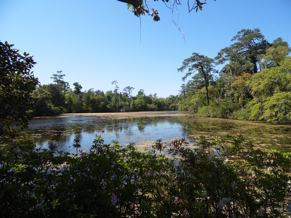 Park outside lake