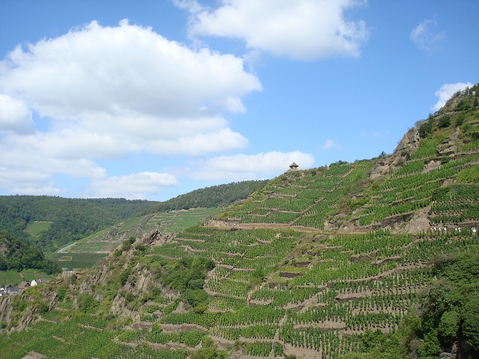 Blue landscape wine