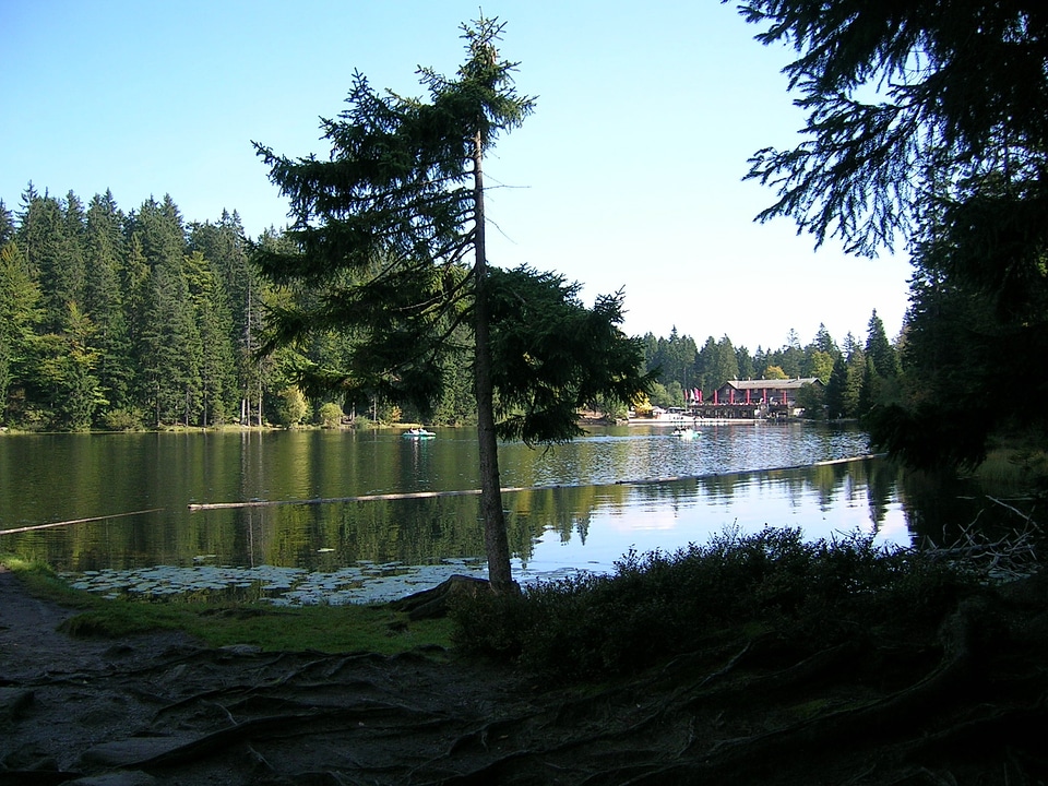 Landscape bergsee lake