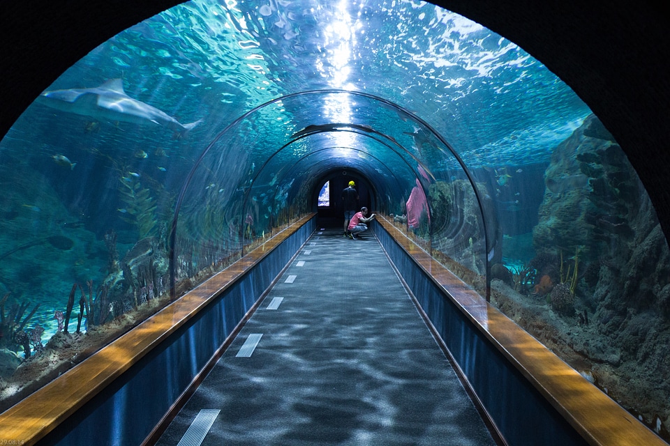 Aquarium loropark underwater
