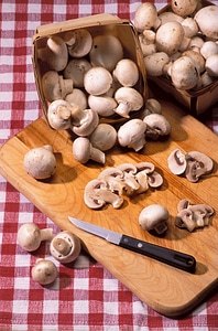 Fresh meal nutrition