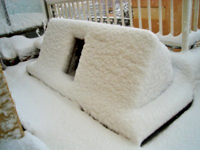 Snow In Barcelona