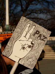Paz (National Mall Washington DC)