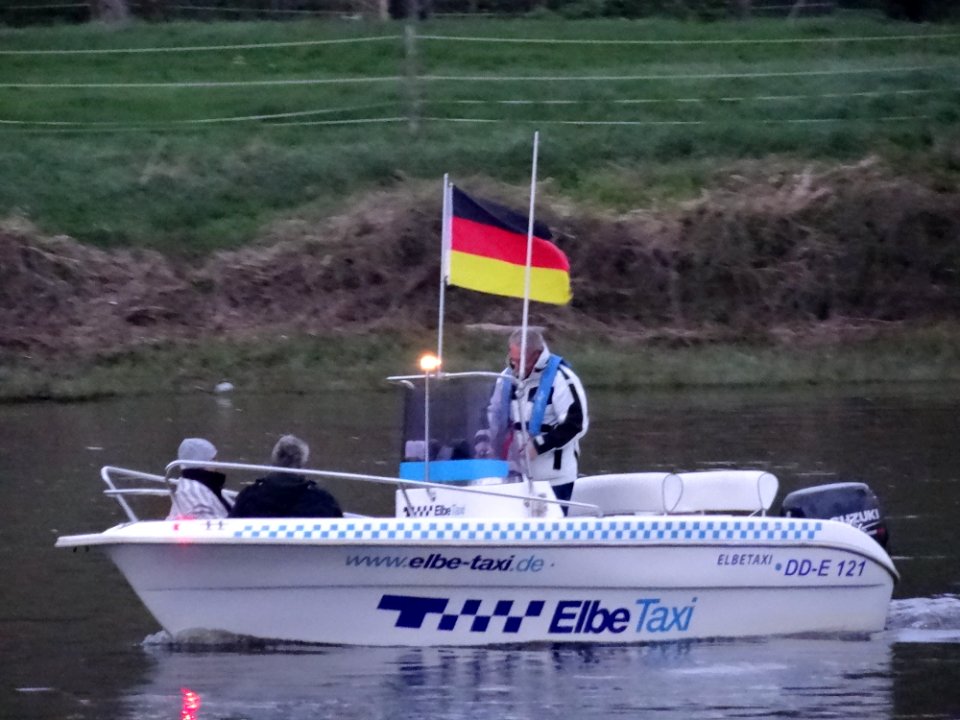 Swans From Blue Wonder