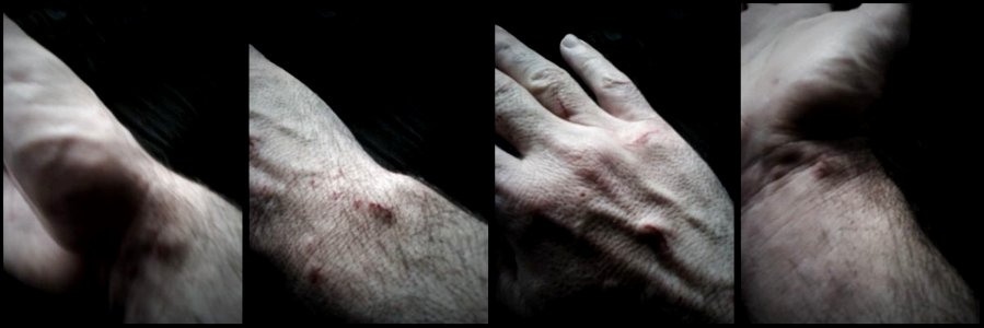 After A Disagreement With The Cat