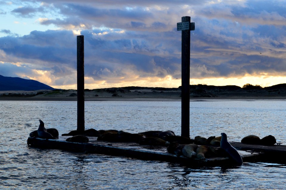 Morro Bay CA (Unedited)
