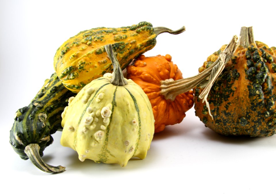 Decorative Pumpkins