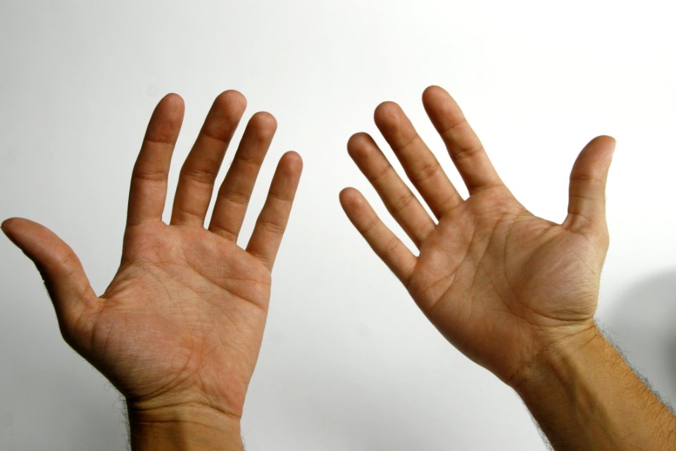 Hand Modeling