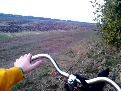Countryside
