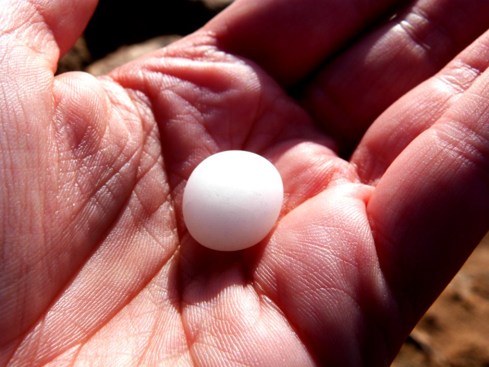 The Cutest Little Beach Stone