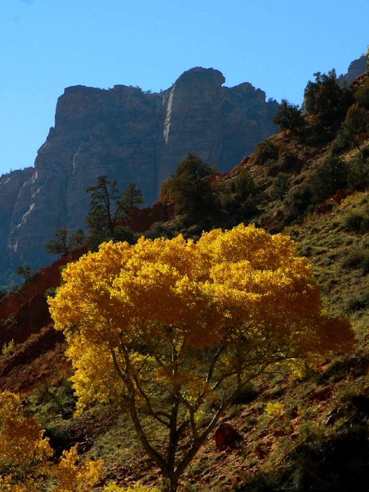 Zion National Park 7