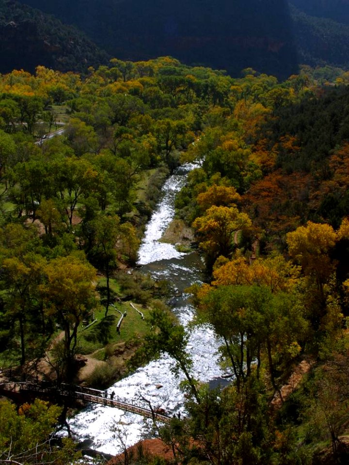 Zion National Park 5