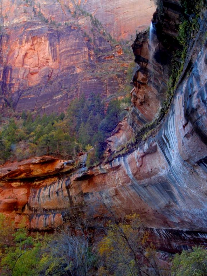 Zion National Park 13