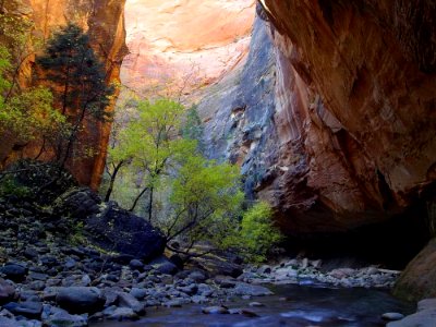 Zion Narrows 13