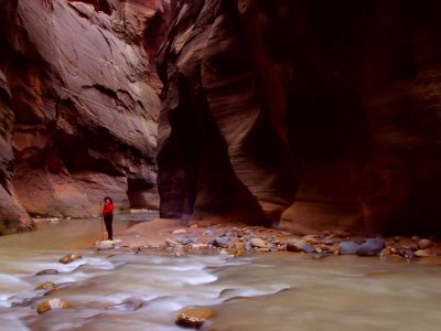 Zion Hiker